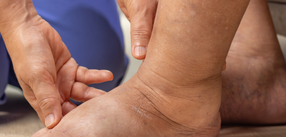 Untitled design (25)